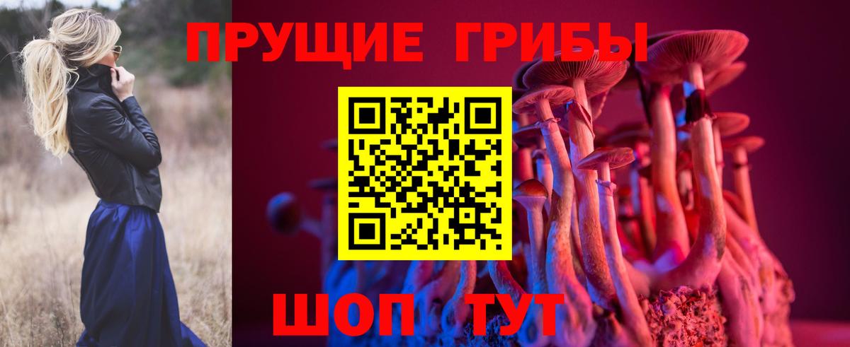 Пыть-Ях  Псилоцибиновые грибы Psilocybe  Вход с VPN 